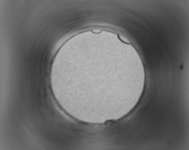 X0000115731533200912241616