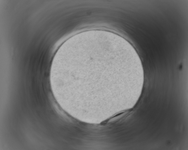 X0000115731534200912241616