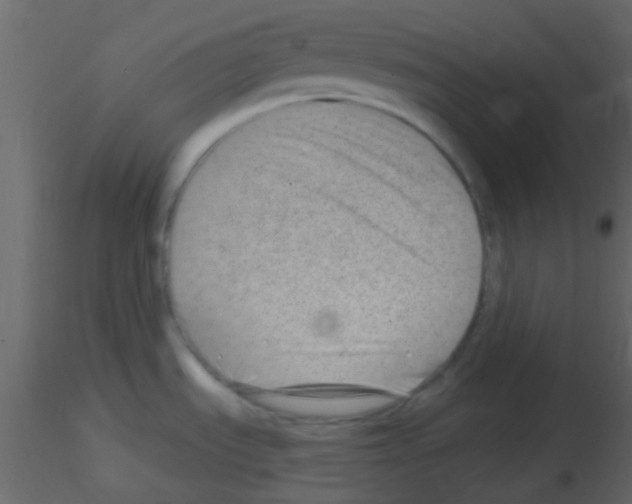 X0000115731535200912241616