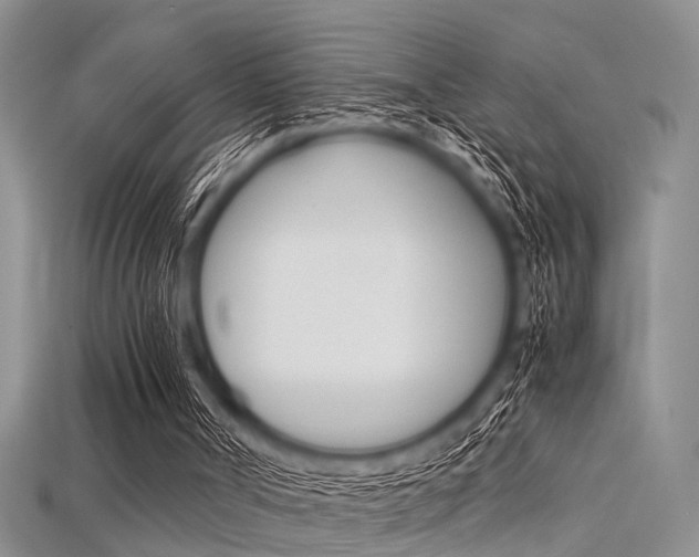 X0000115740002200911121112