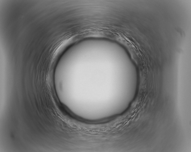 X0000115740003200911121112