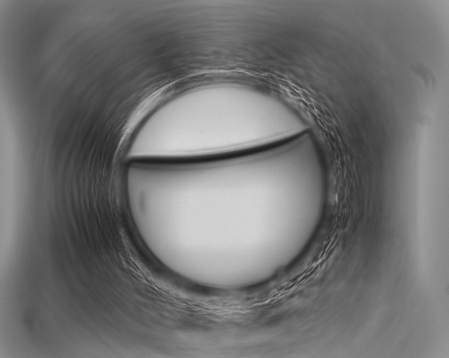 X0000115740004200911121111