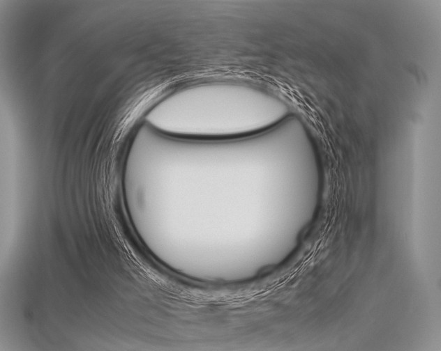 X0000115740005200911121111