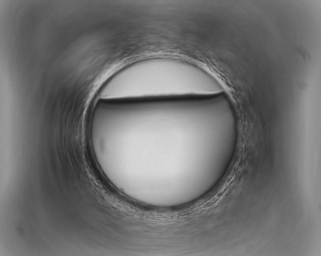 X0000115740008200911121111