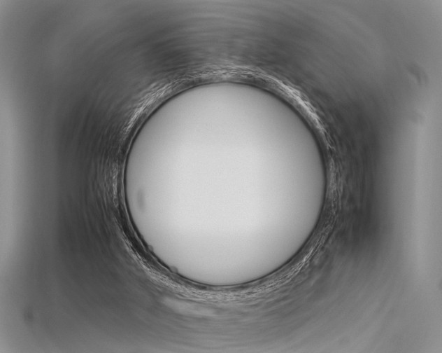 X0000115740010200911121111