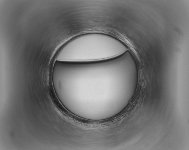 X0000115740012200911121111