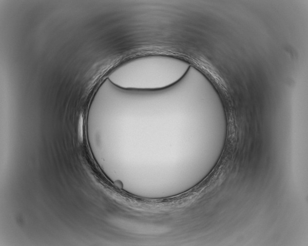 X0000115740014200911121111