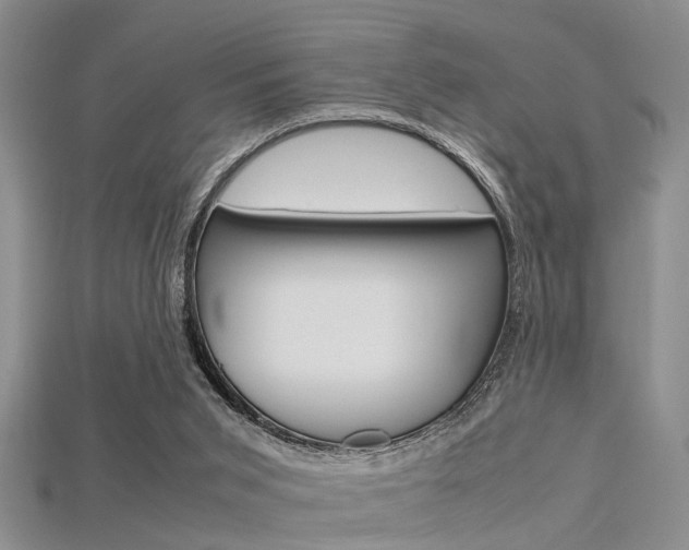 X0000115740015200911121111