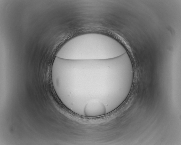 X0000115740018200911121111