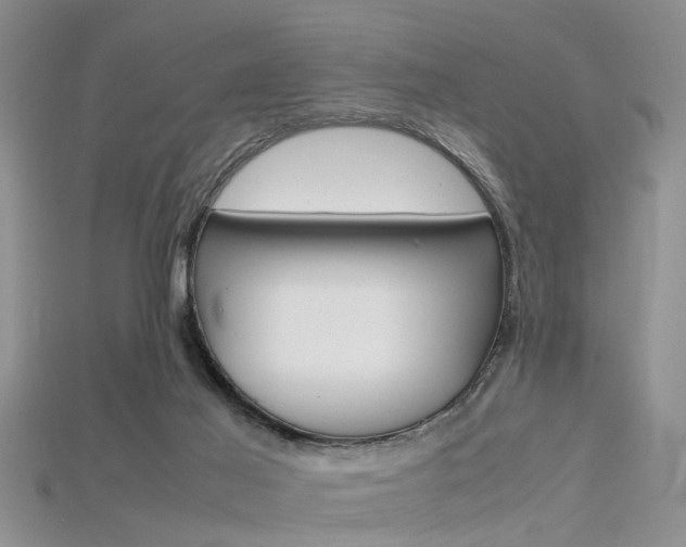 X0000115740021200911121111