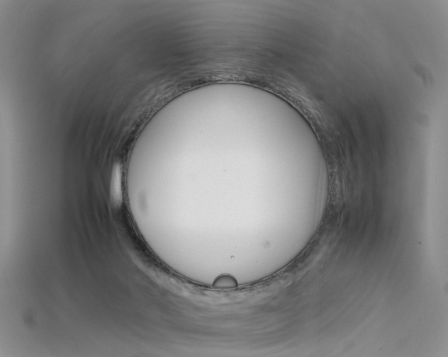 X0000115740022200911121111