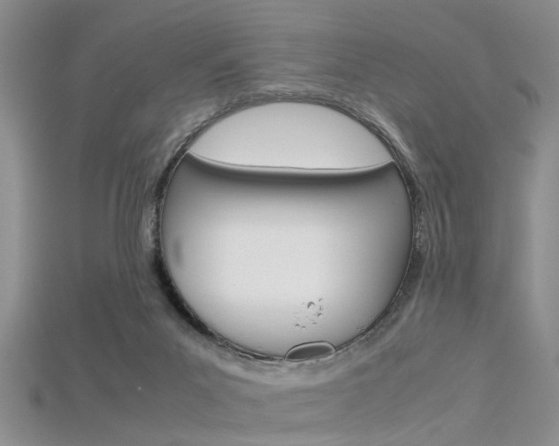 X0000115740023200911121111