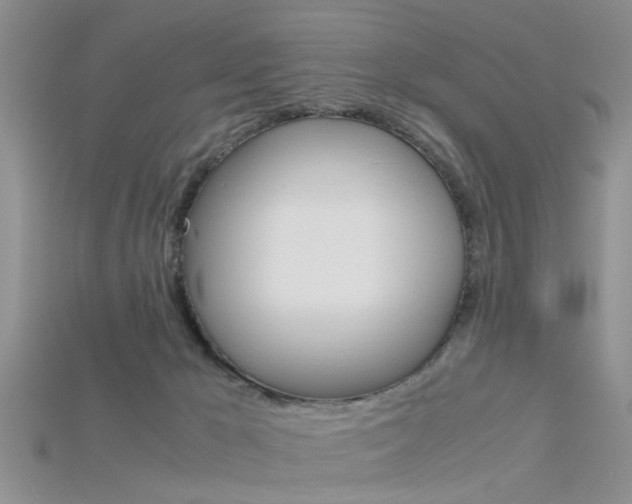 X0000115740029200911121111