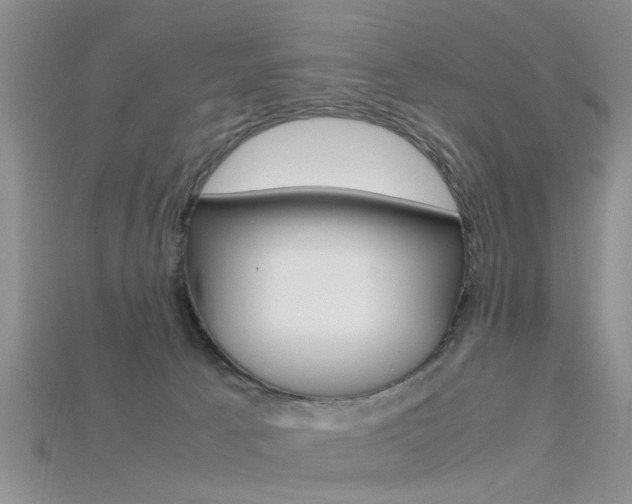 X0000115740033200911121111