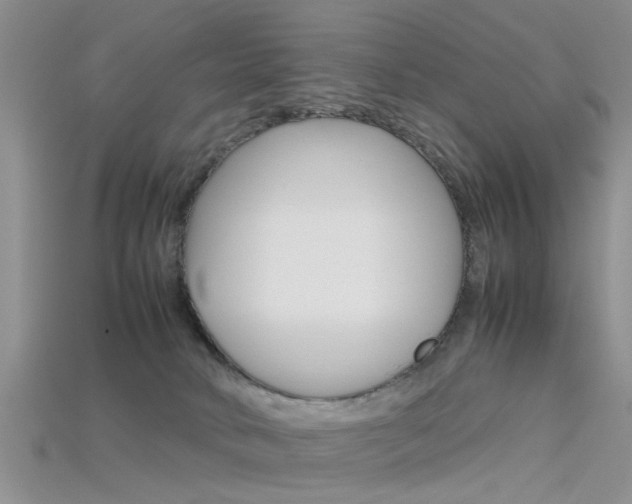 X0000115740034200911121111