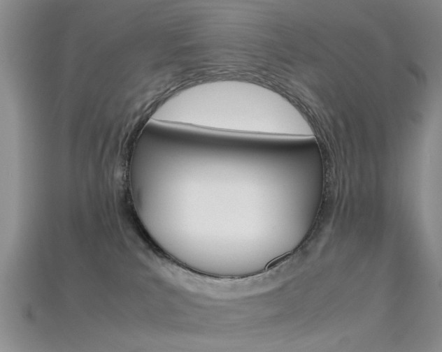 X0000115740039200911121111