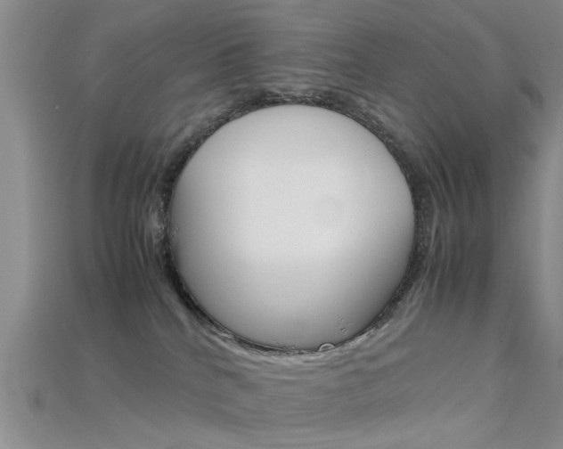 X0000115740040200911121111
