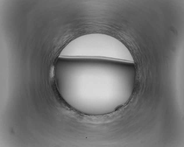X0000115740041200911121111