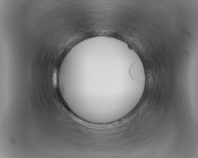 X0000115740042200911121111