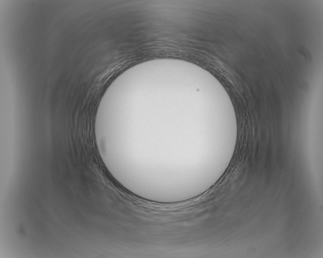X0000115740043200911121111