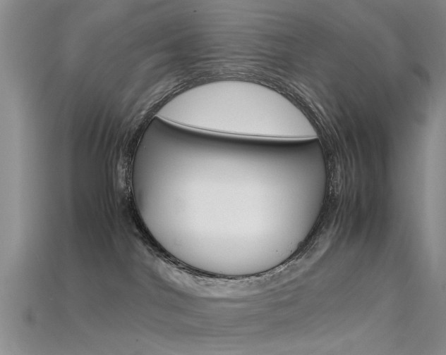 X0000115740044200911121111