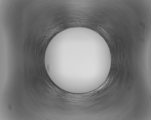 X0000115740045200911121111