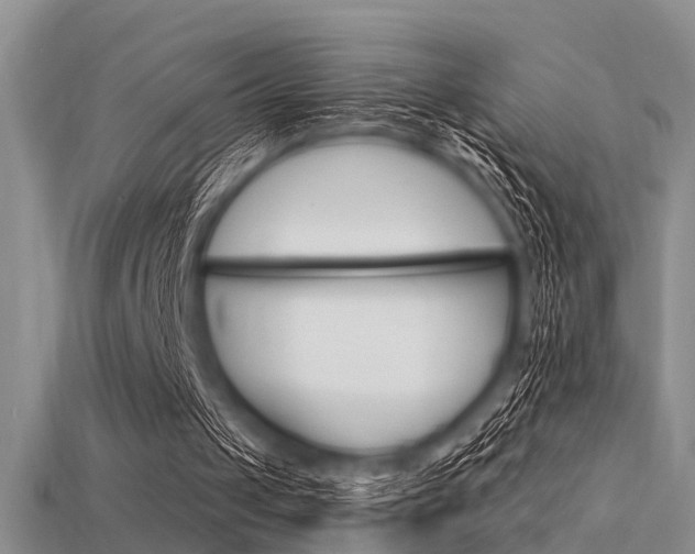 X0000115740049200911121110