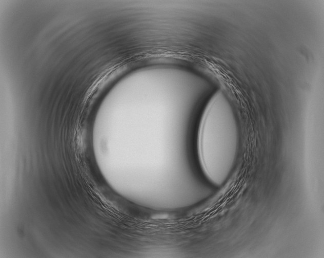 X0000115740050200911121110