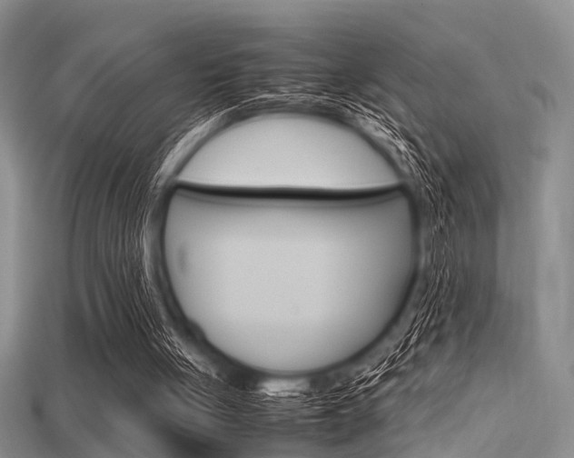 X0000115740051200911121110