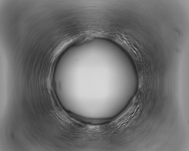 X0000115740052200911121110