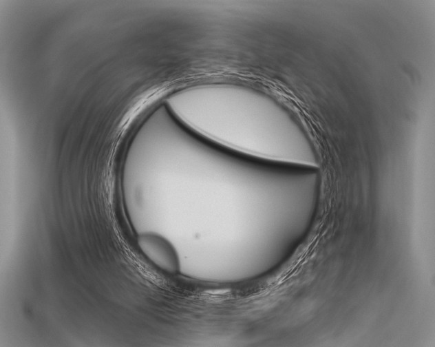 X0000115740054200911121110