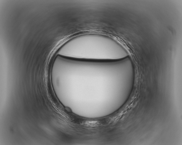 X0000115740055200911121110