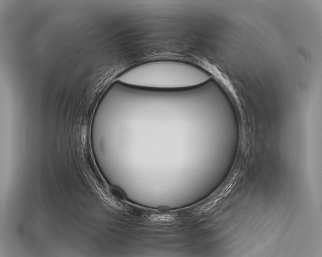 X0000115740057200911121110