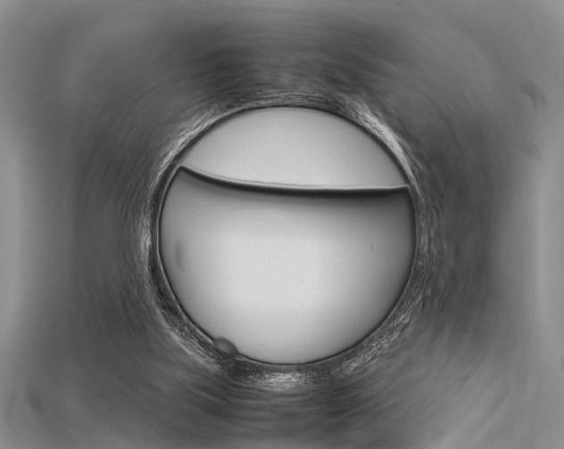 X0000115740059200911121110