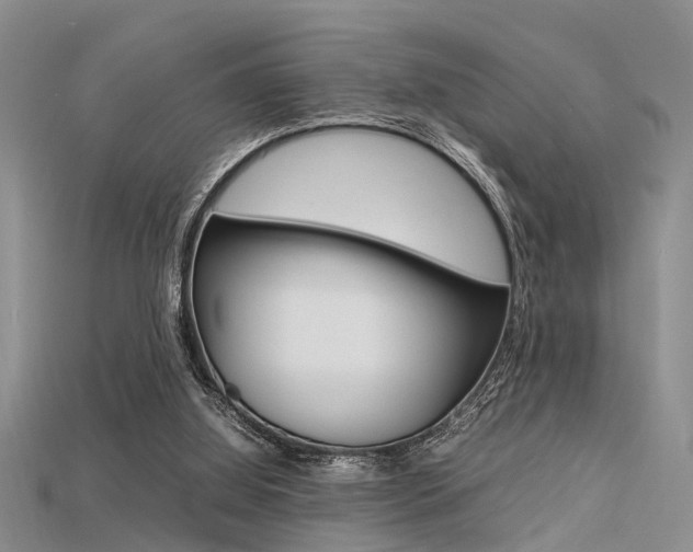 X0000115740060200911121110