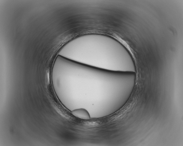 X0000115740061200911121110