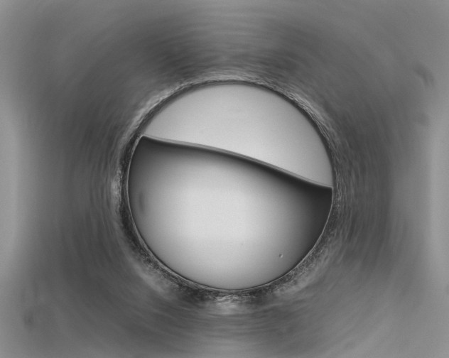 X0000115740064200911121111