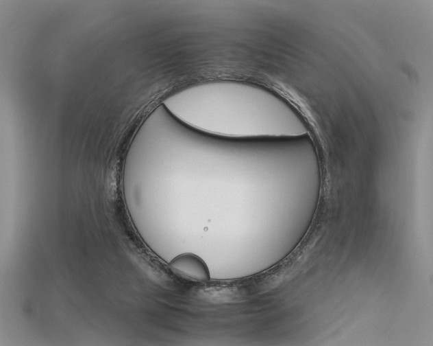 X0000115740065200911121111
