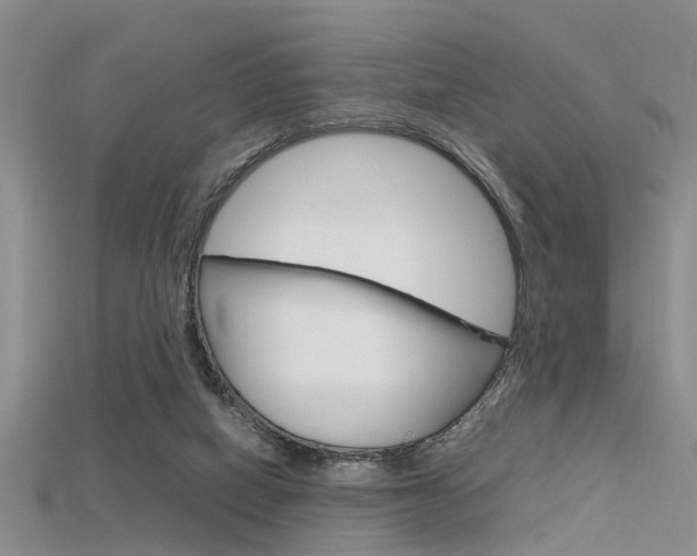 X0000115740066200911121111