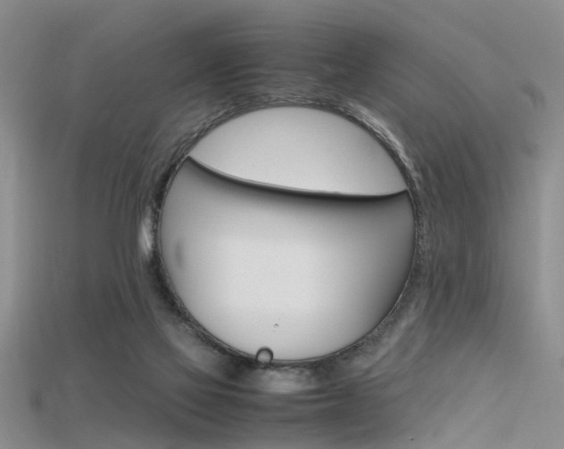 X0000115740069200911121111