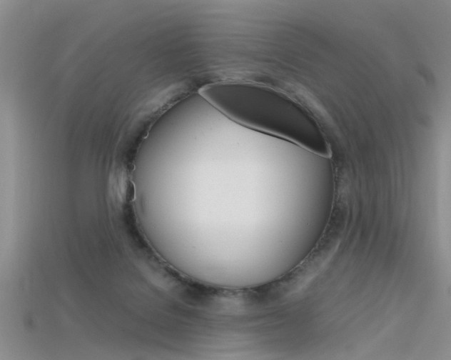 X0000115740076200911121111