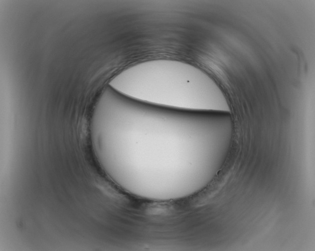 X0000115740077200911121111