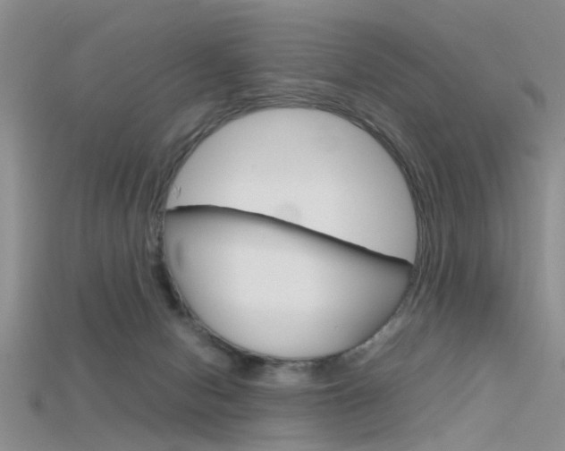 X0000115740078200911121111
