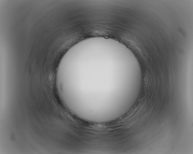 X0000115740079200911121111