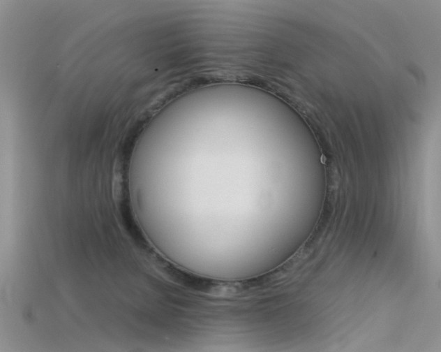 X0000115740080200911121111
