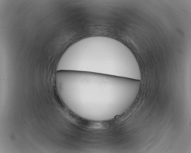 X0000115740083200911121111