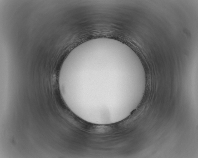 X0000115740087200911121111