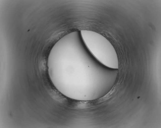 X0000115740090200911121111