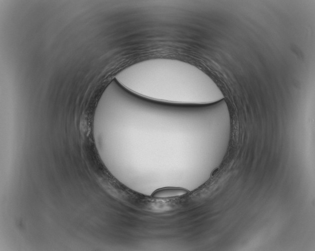 X0000115740091200911121111