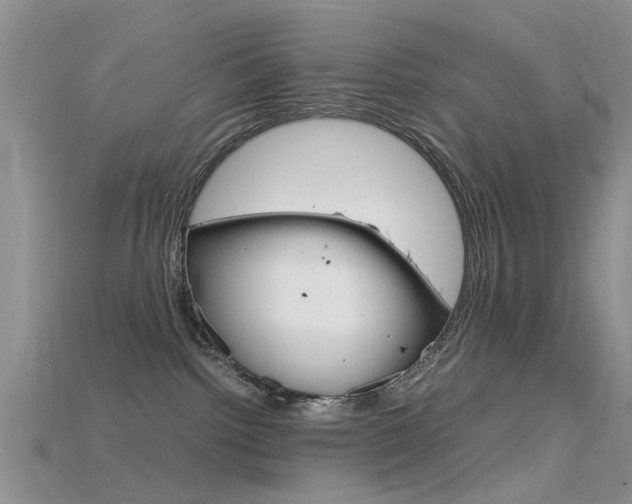 X0000115740092200911121111